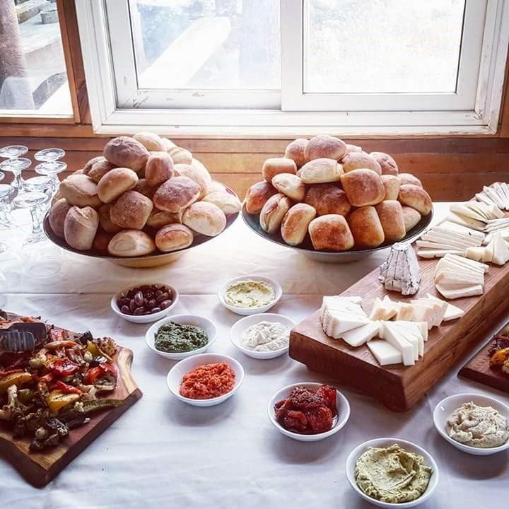 צילום: צאלה גורודנצ&#39;יק