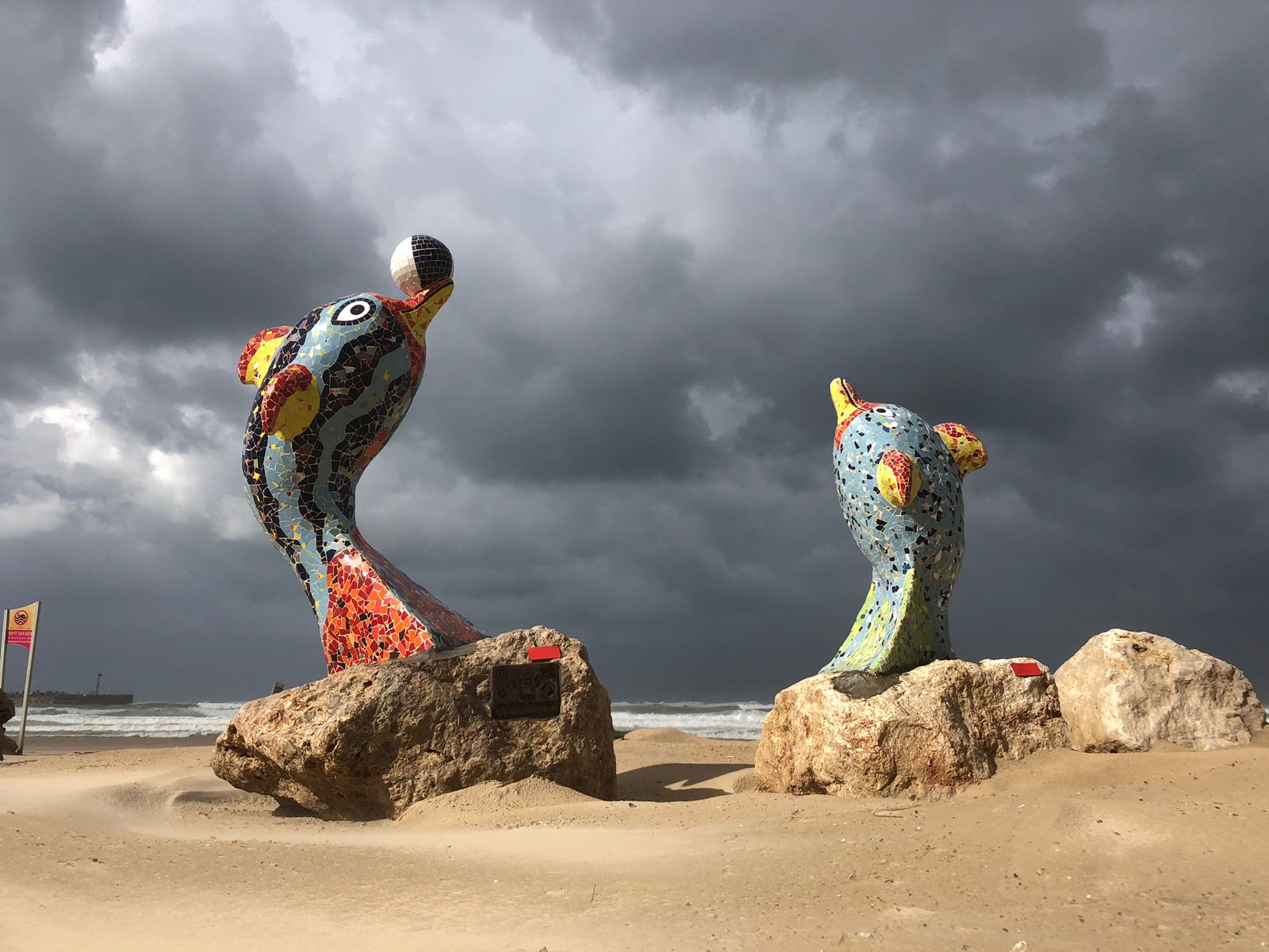 יום חורף באשדוד | צילום: שמוליק דוד