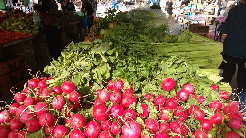 צילום: אלה רוזנבלט