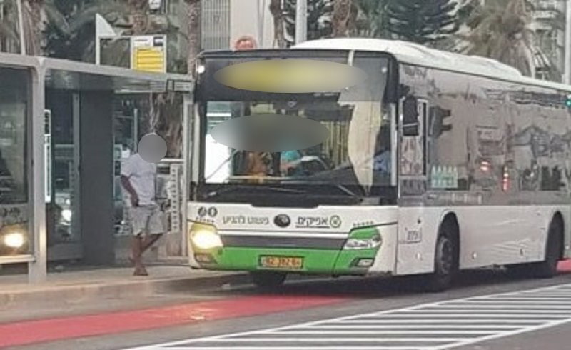 אוטובוס אפיקים