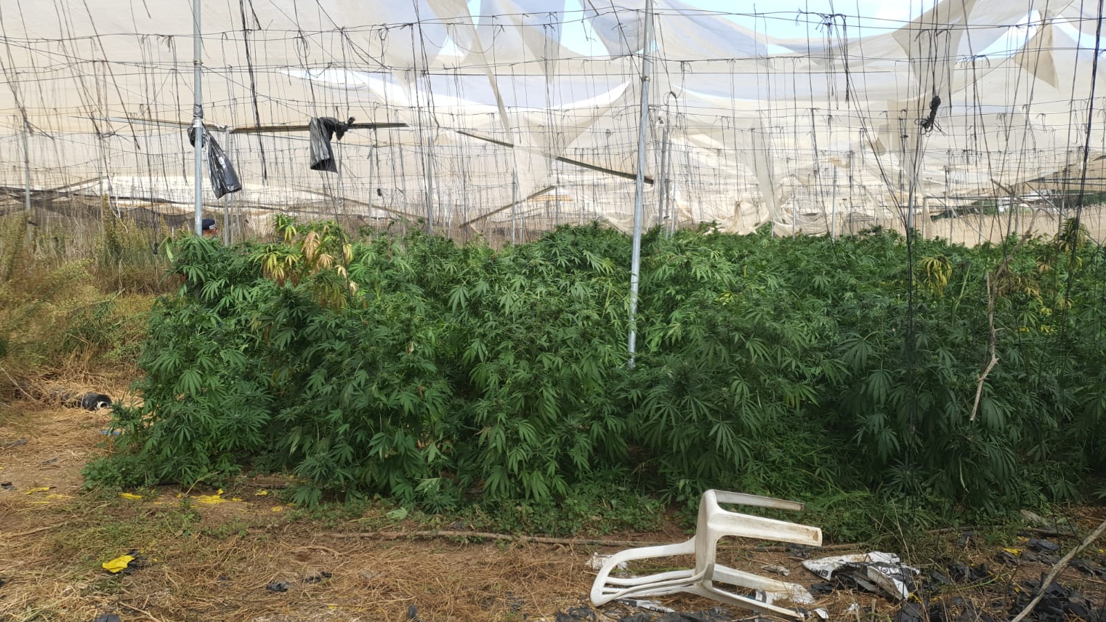 דוברות משטרה