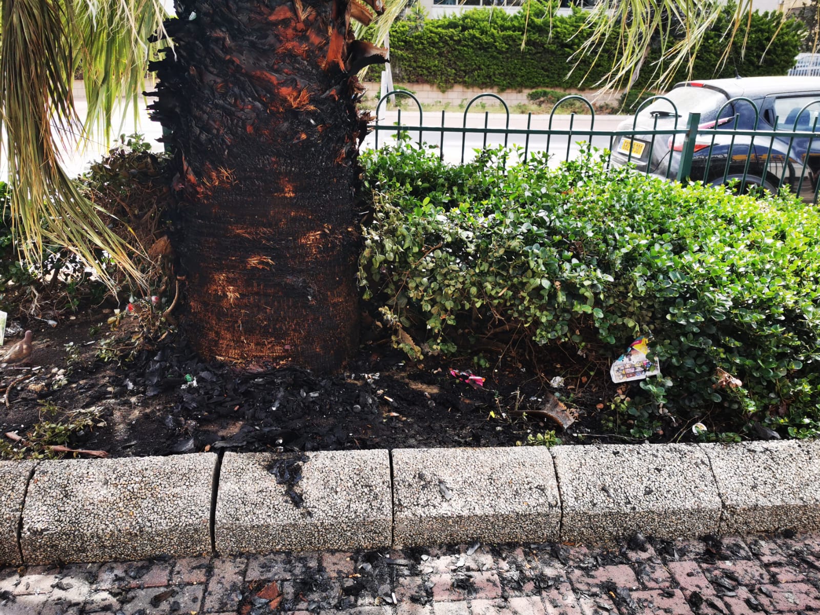 צילום: דוברות המשטרה