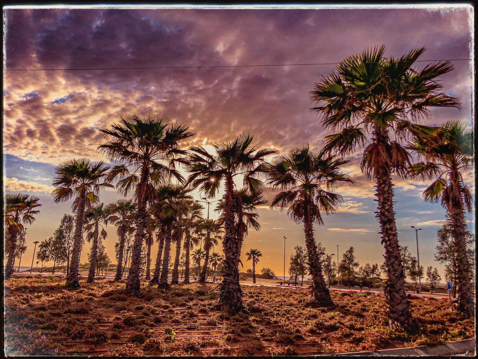 תמונת היום שלי. צילום אורי קריספין