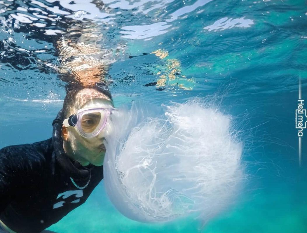 נשיקת המדוזה צילום חזי מנע