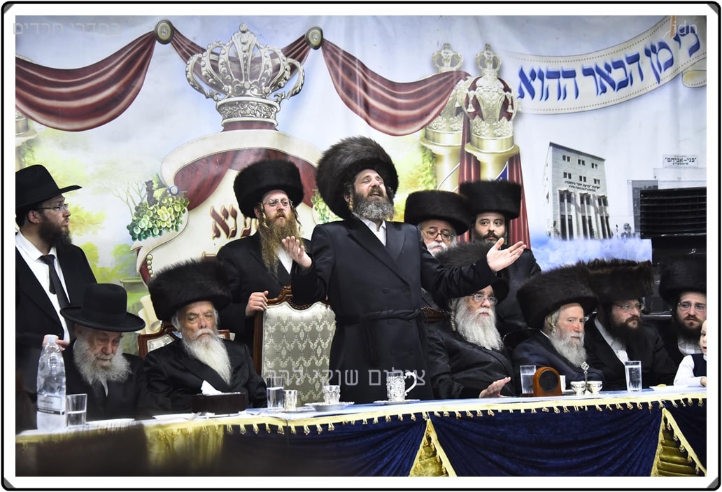 צילום: שוקי לרר