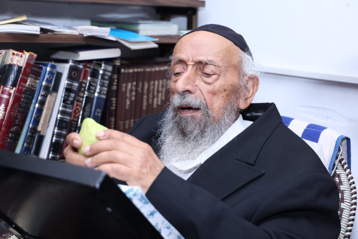 צילום: דוד ארזני