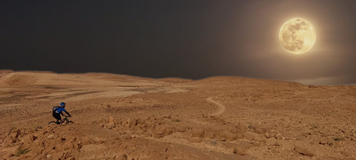 צילום: פרטי