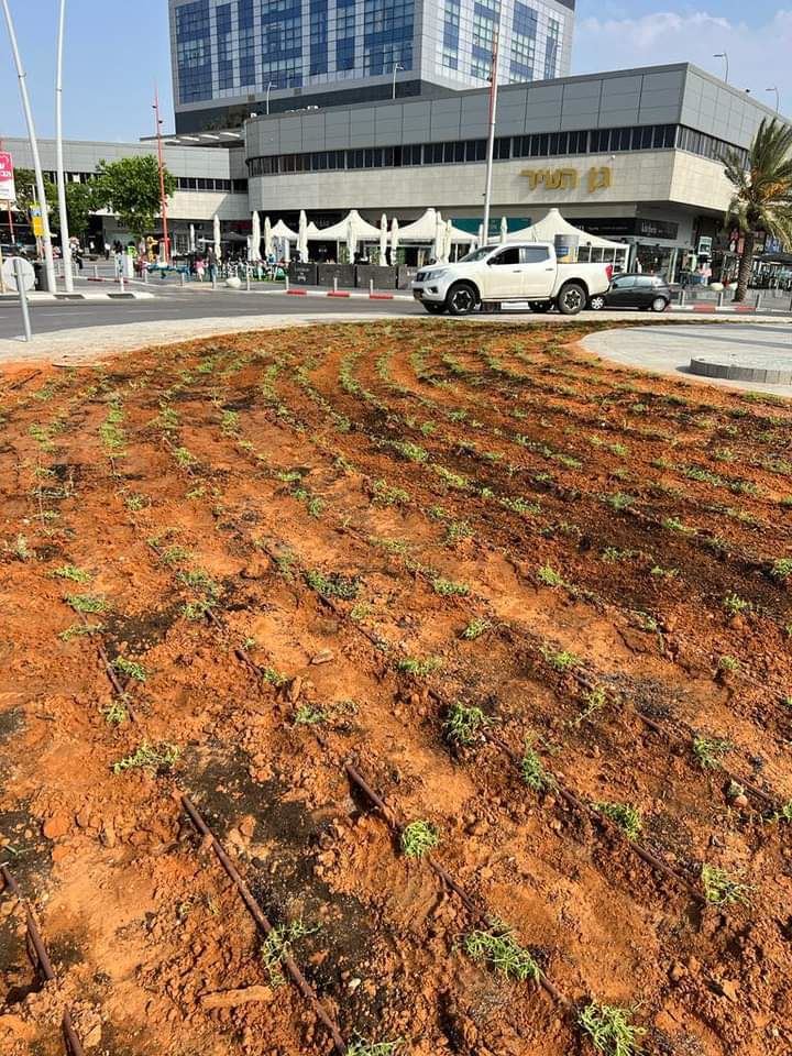 עיר בפריחה. עיריית אשדוד