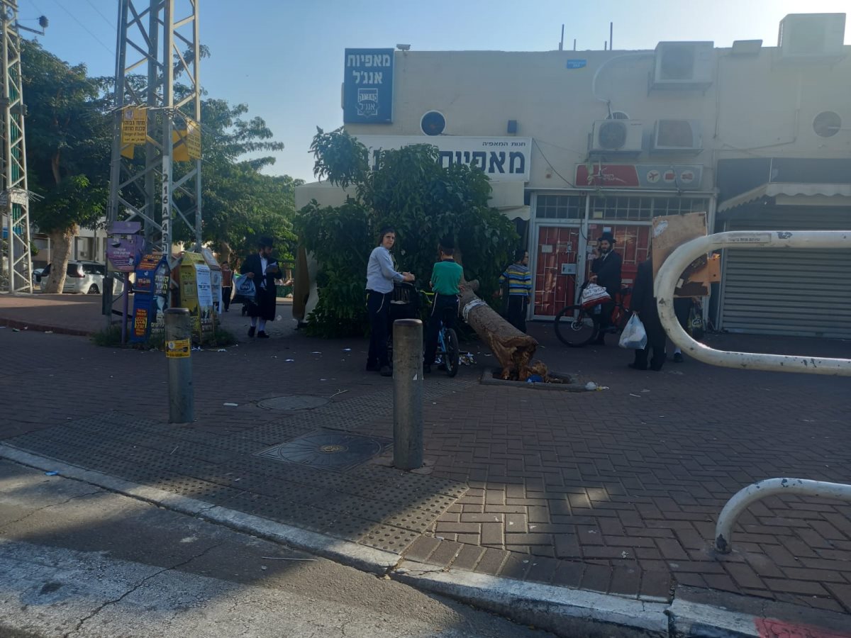 צילום: דוד פרטוש