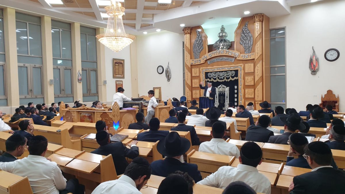 מסתערים על השטח. שס