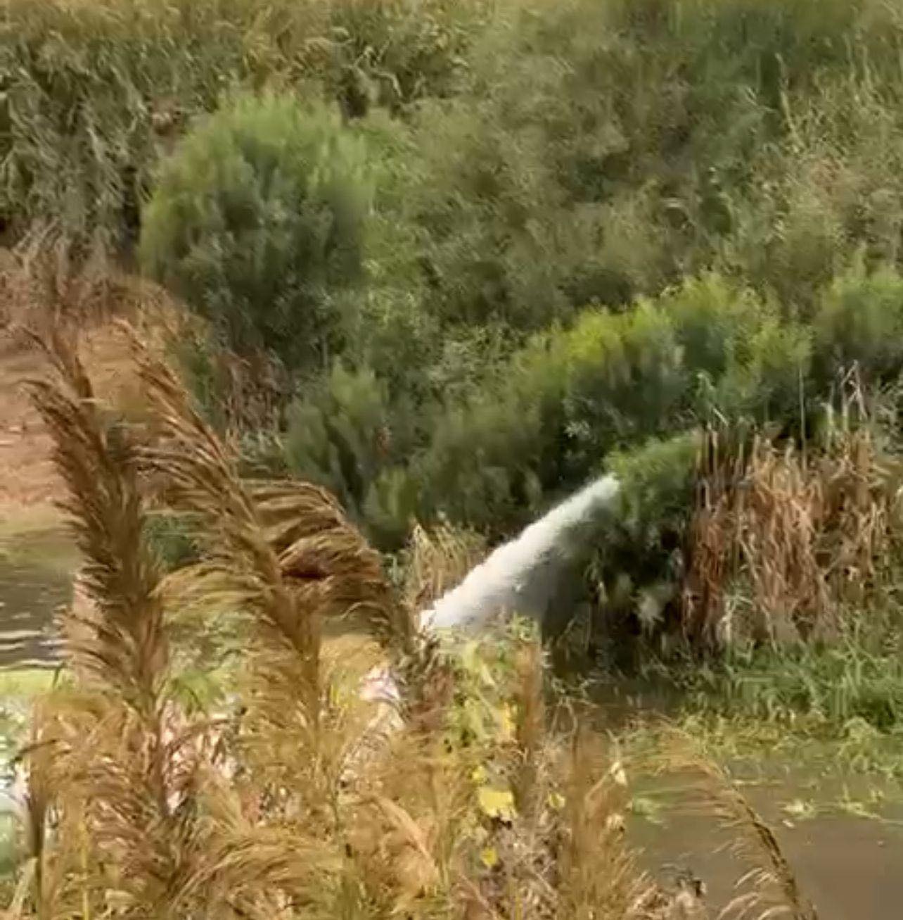 ההזרמה. דף הפייסבוק של ראש העיר