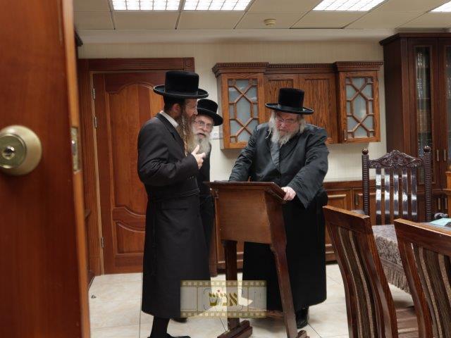 צילום: א.מ.ש