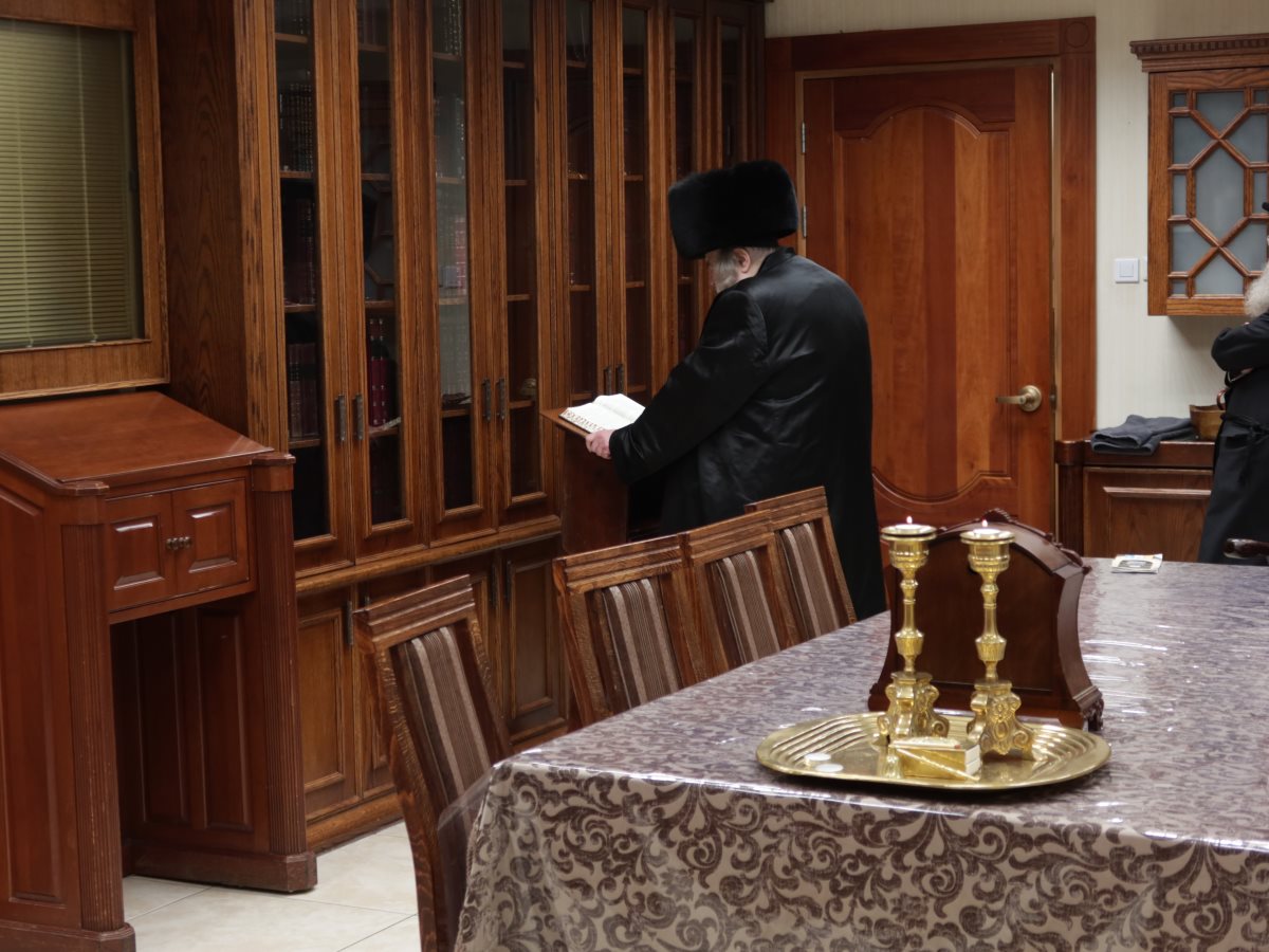 צילום: א.מ.ש