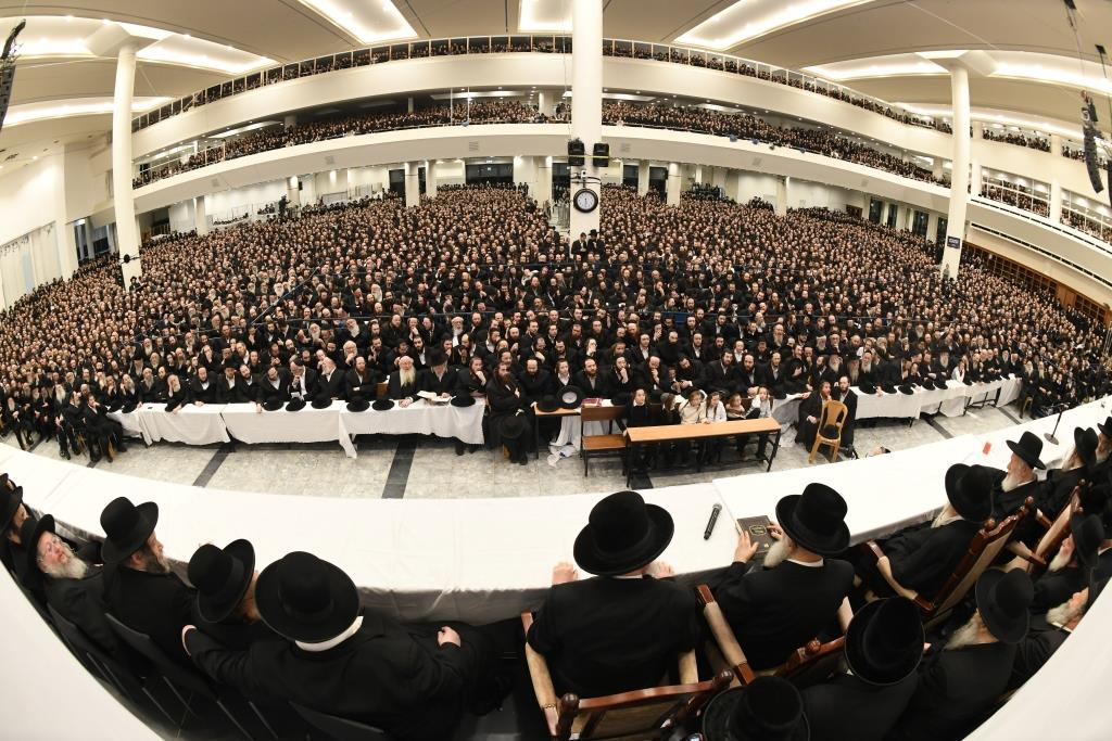 צילום: משה גולדשטיין