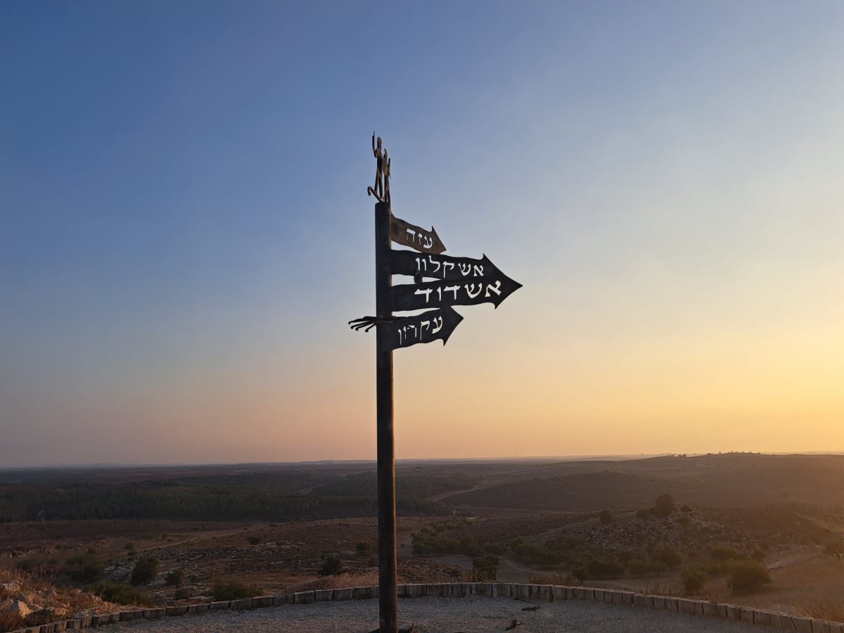 תל צפית. גת המקראית. דור גפני