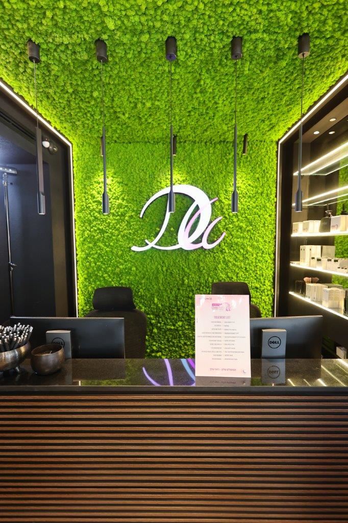 דבי וולף חנוכה