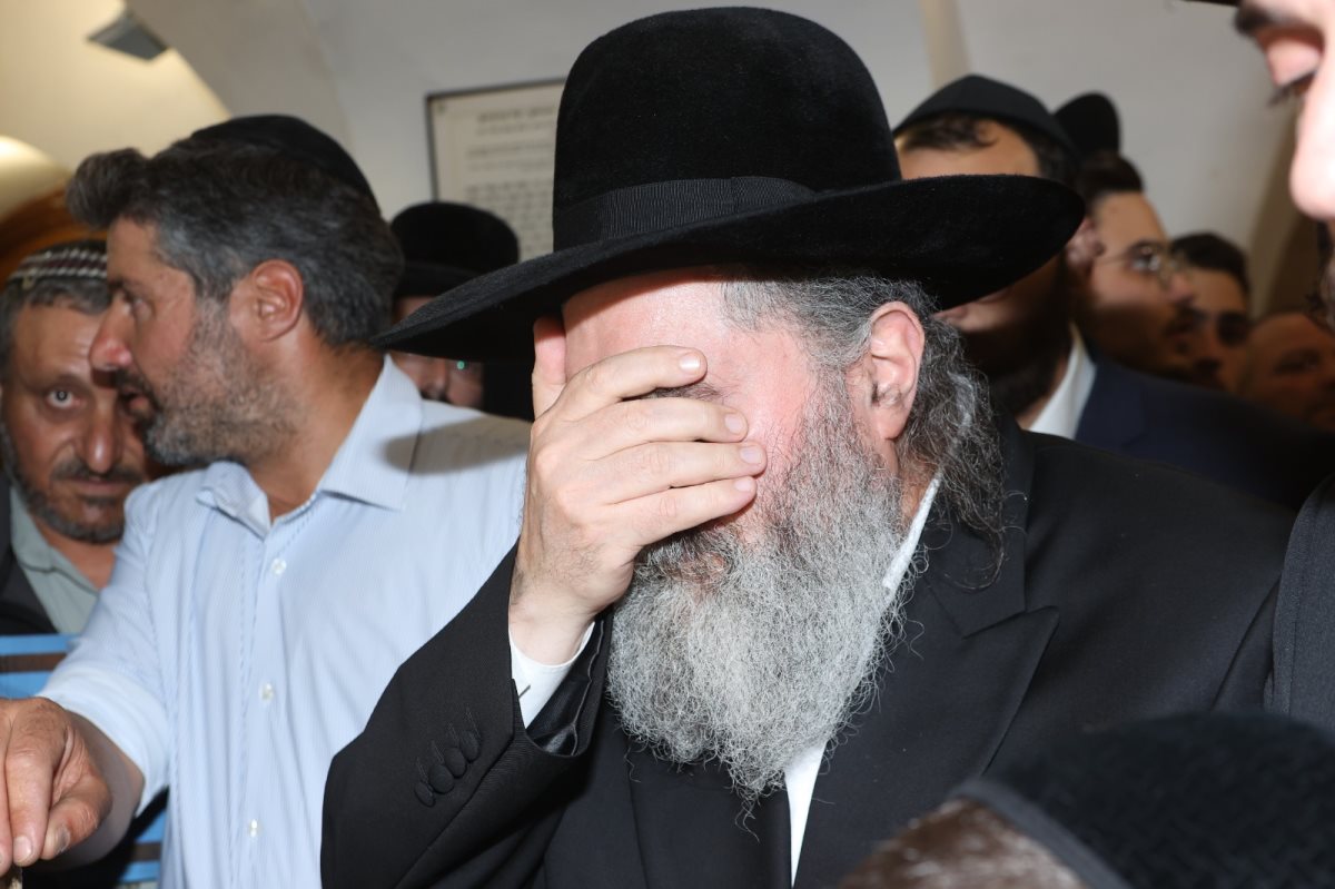 צילום: אבי עמרם