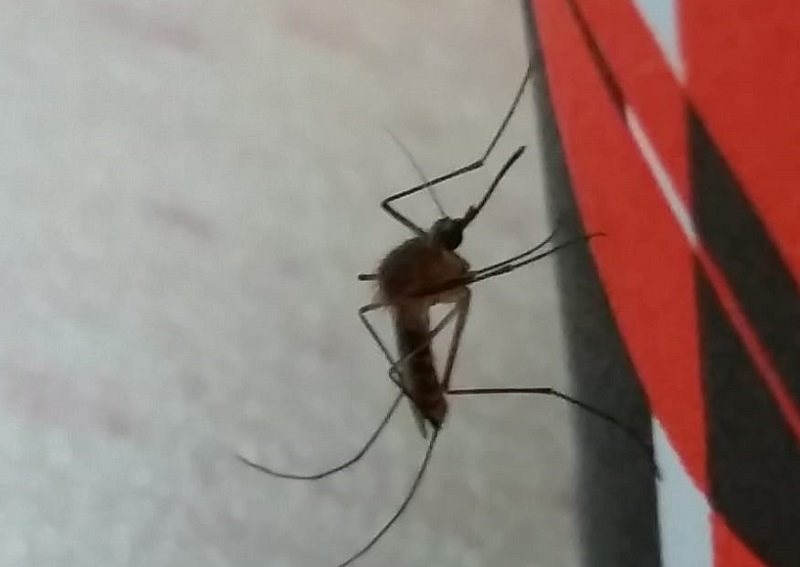 צילום: הגר סבטי - רשות הטבע והגנים