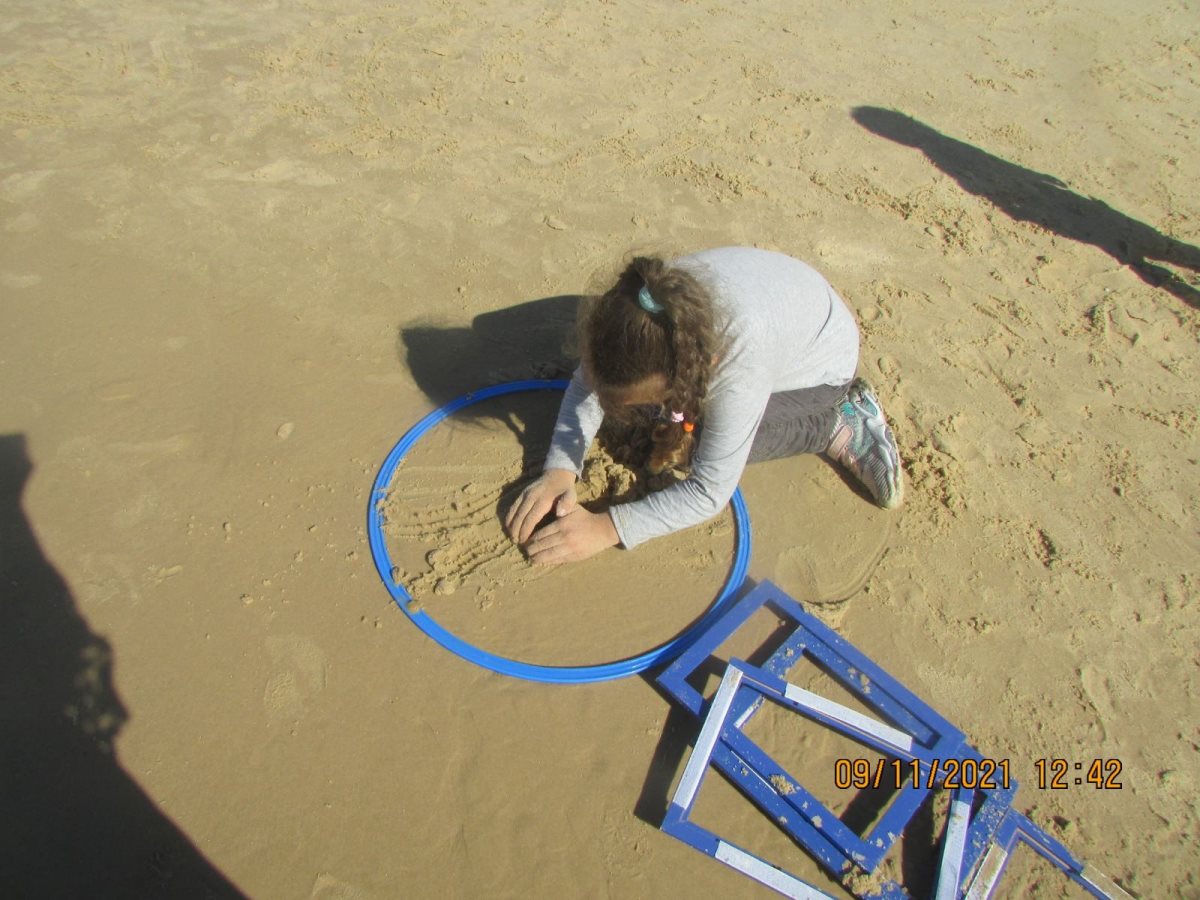 הפרוייקט שזכה לתהילה. צילום: תהילה לדוד