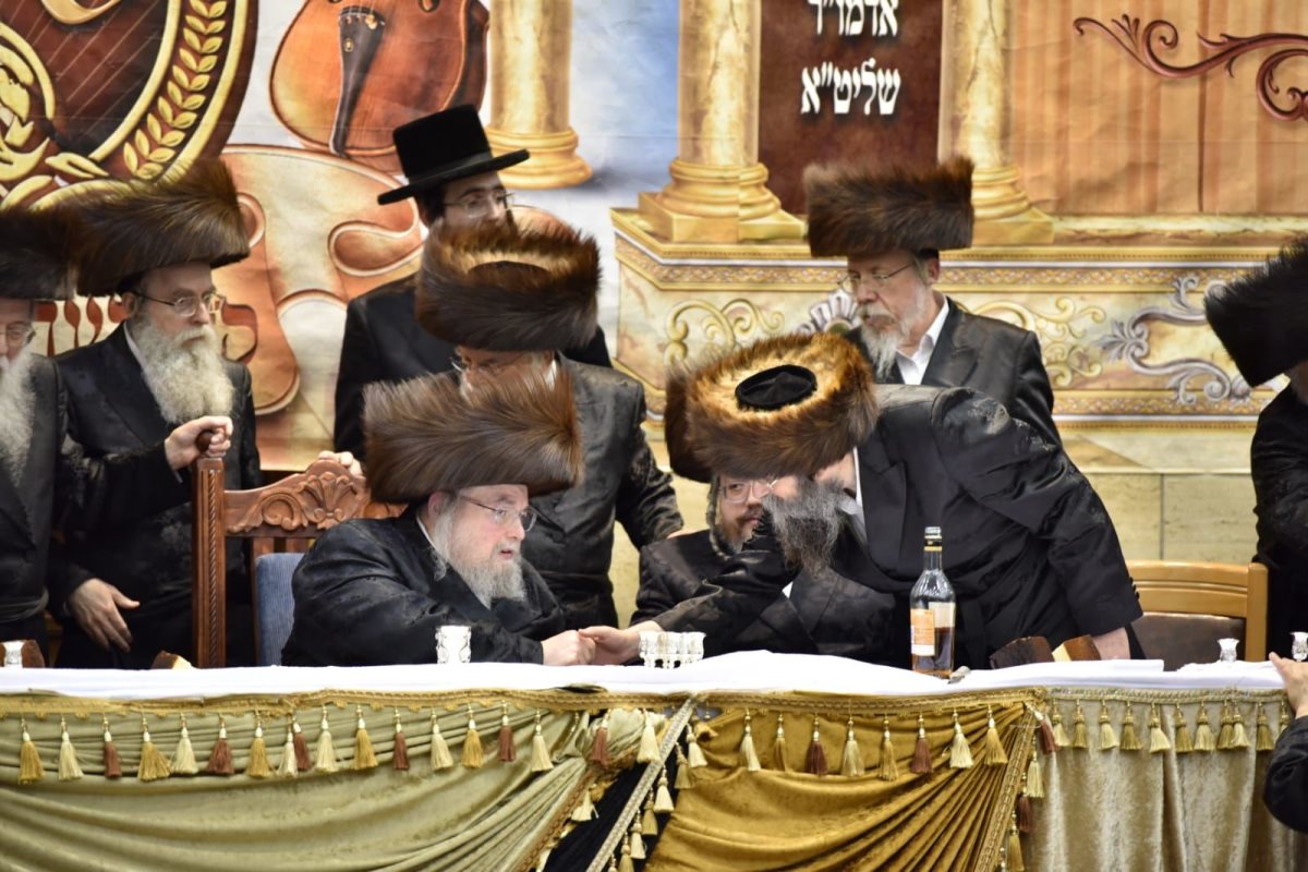 שמחת בית בעלזא. צילום: אנשיל בעק