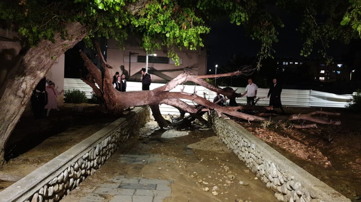 מינהלת רובע ג&#39;