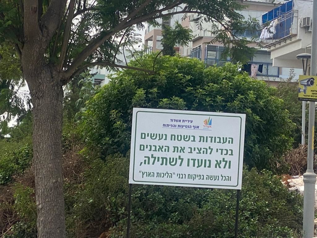 נטיעות לא בשמיטה. צילום: מינהלת רובע ז&#39;