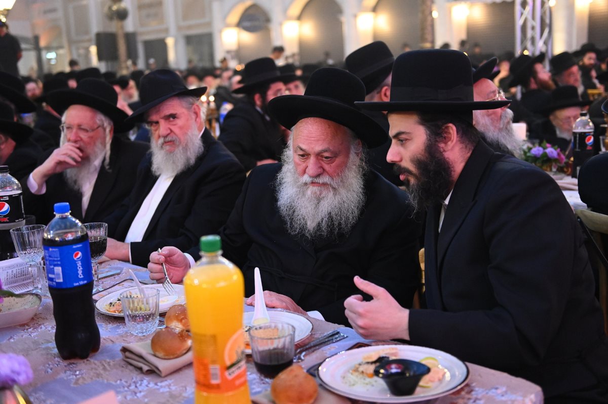 כנס חסידות גור. צילום יחצ