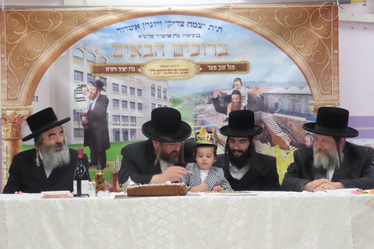 הכנסת נכדו של האדמור משאץ לתת. צילום: מוסדות שאץ