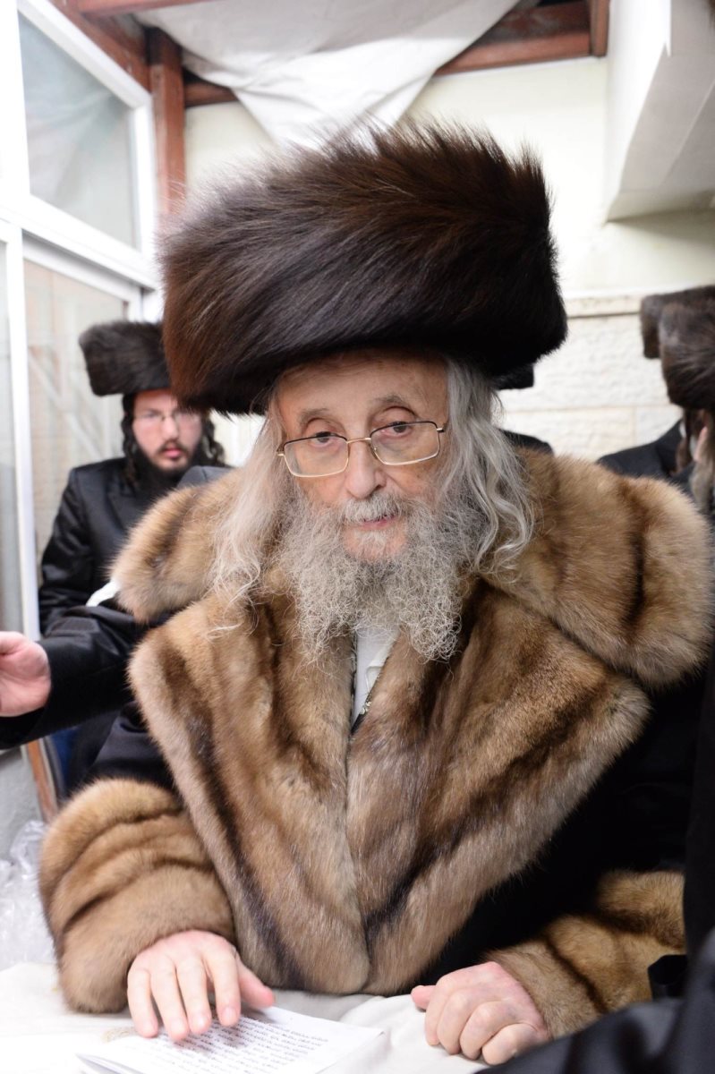 צילום: שוקי לרר