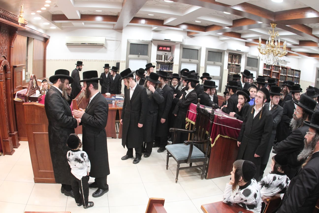 צילום: פרטי