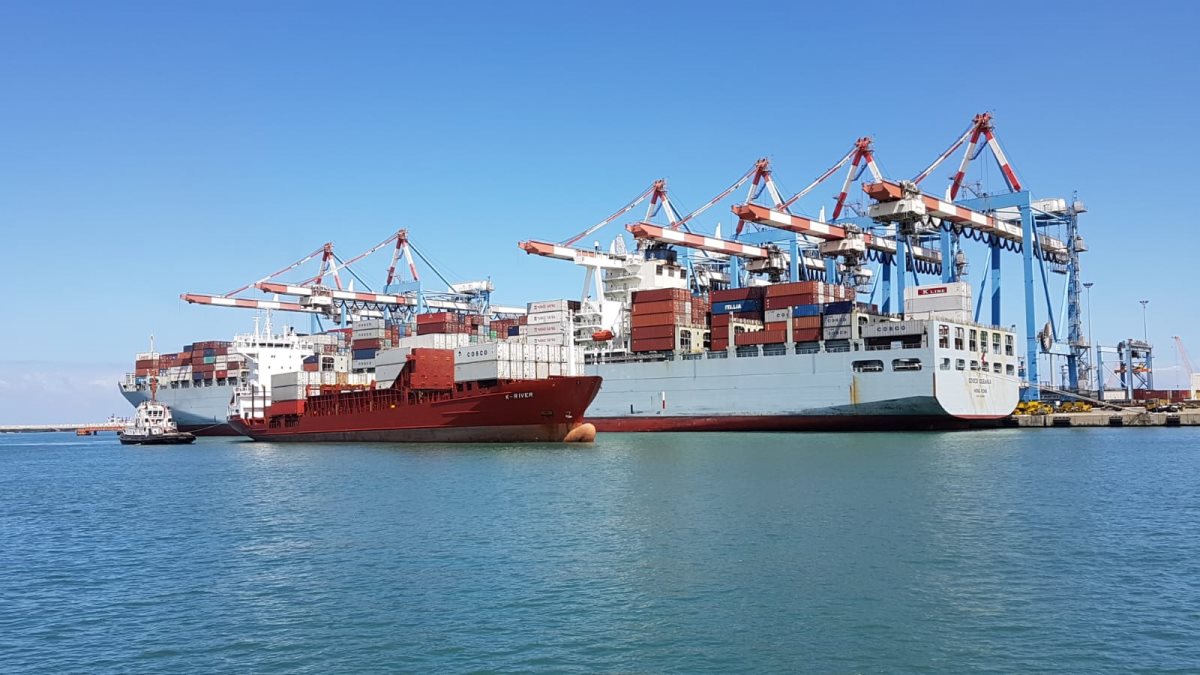 צילום: שאול ביטון