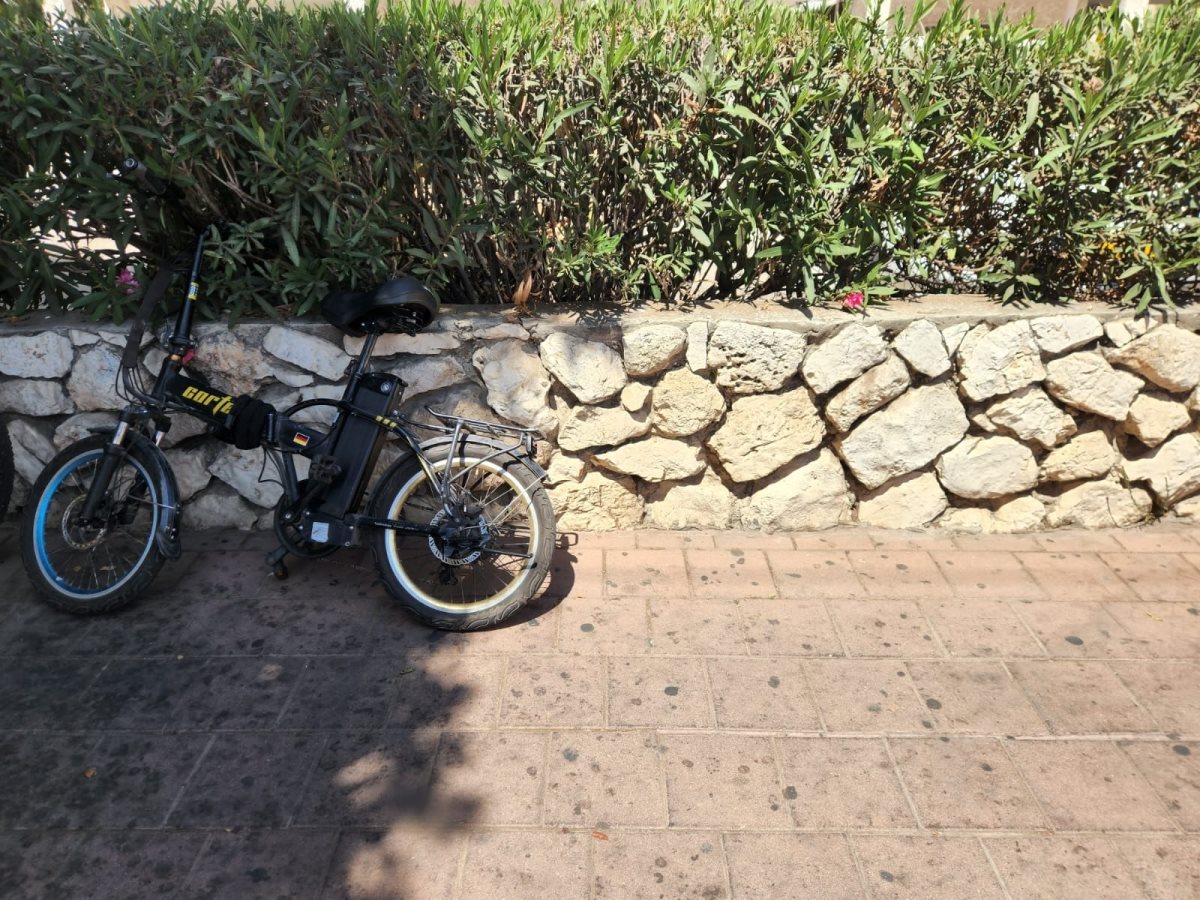 צילום: דוברות איחוד הצלה