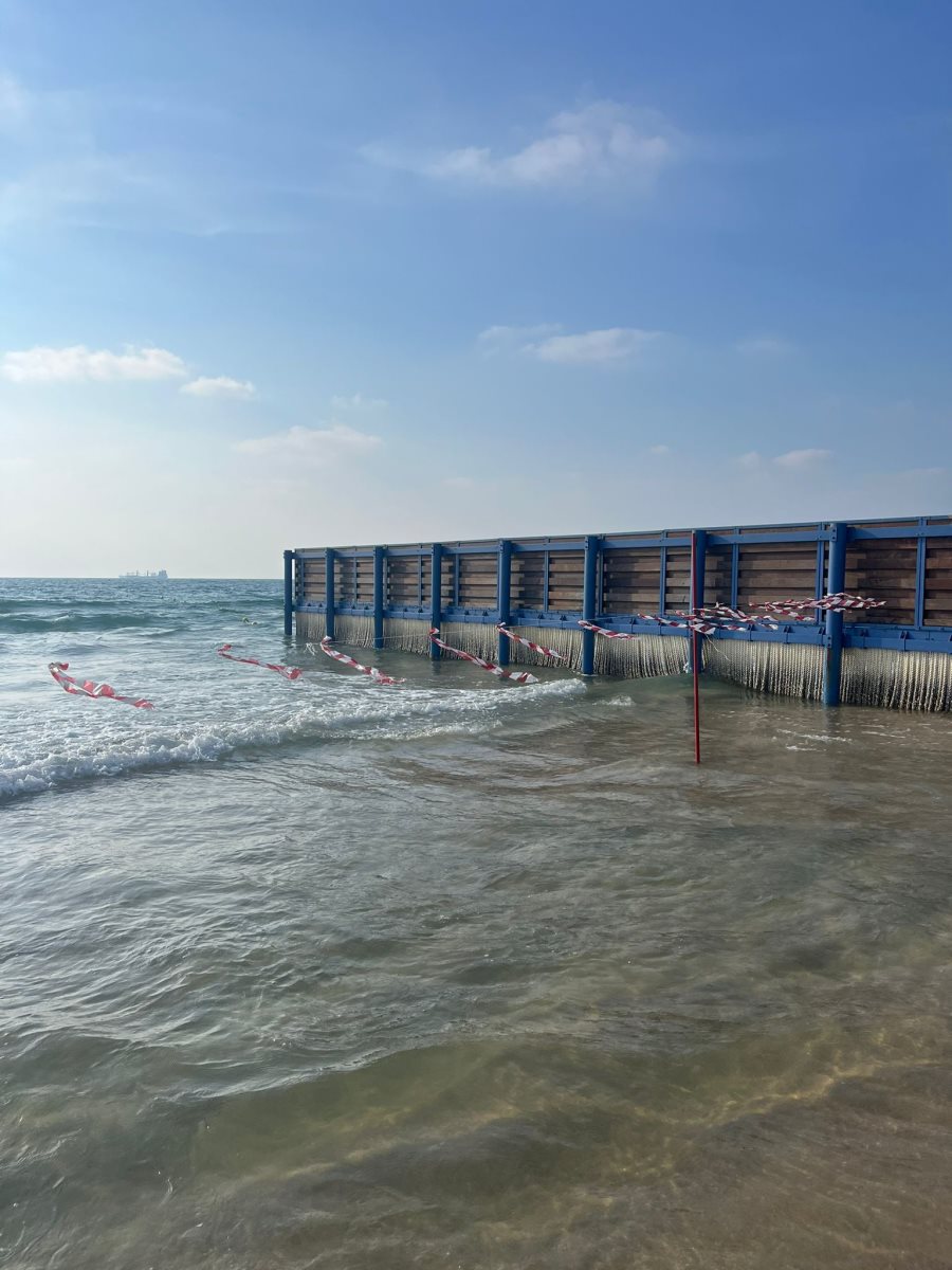 צילום: פרטי