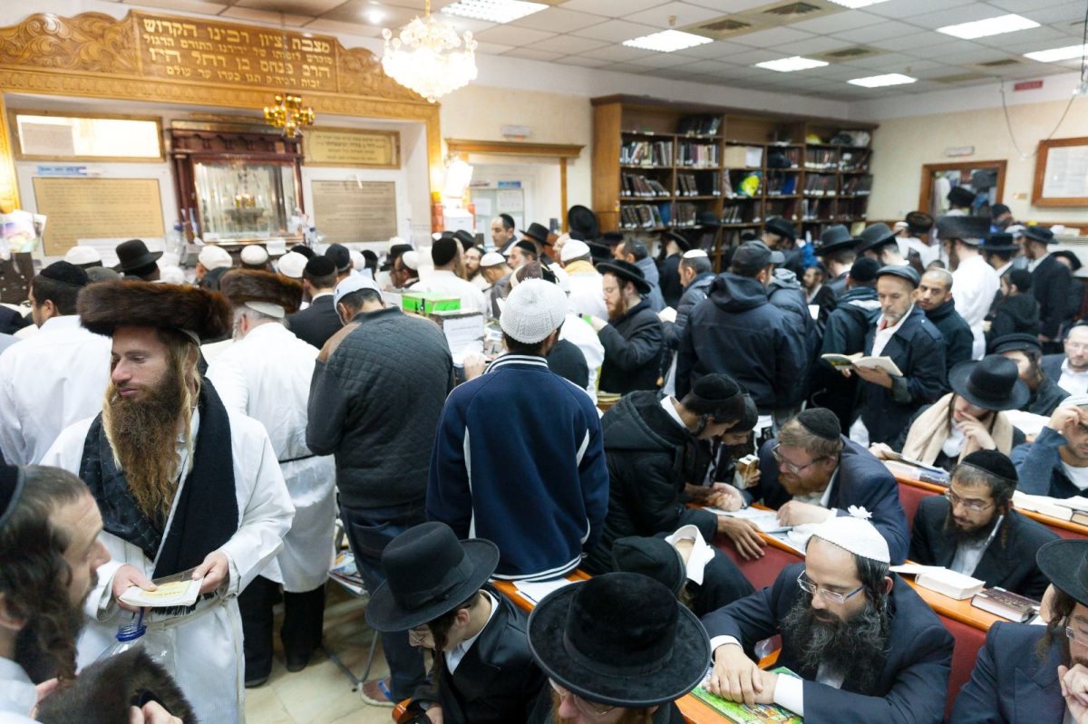 מתפללים על הציון הקדוש באומן. צילום: אלחנן קוטלר