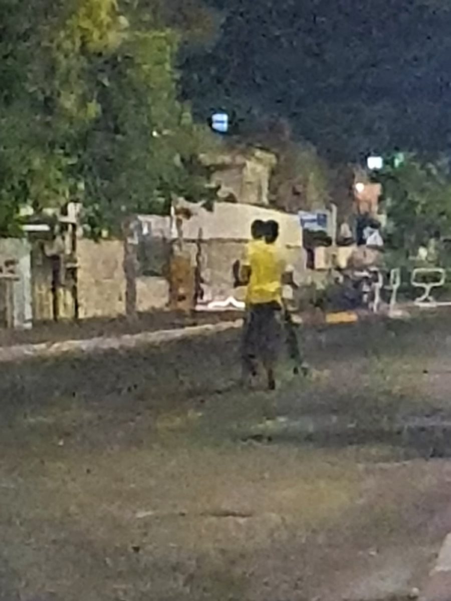 צילום: פרטי