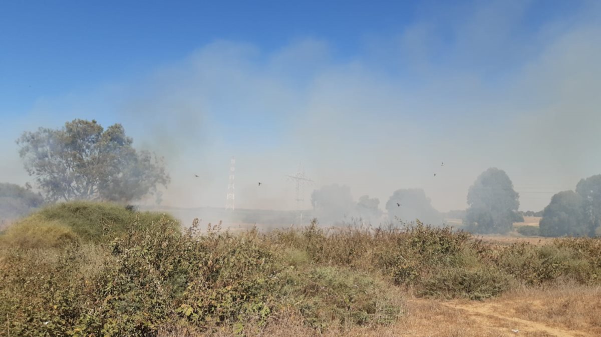 צילום: אברהם פורגס