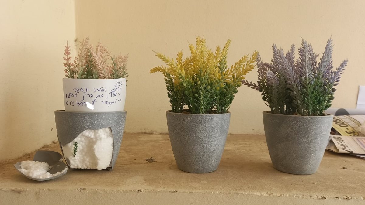 צילום: פרטי