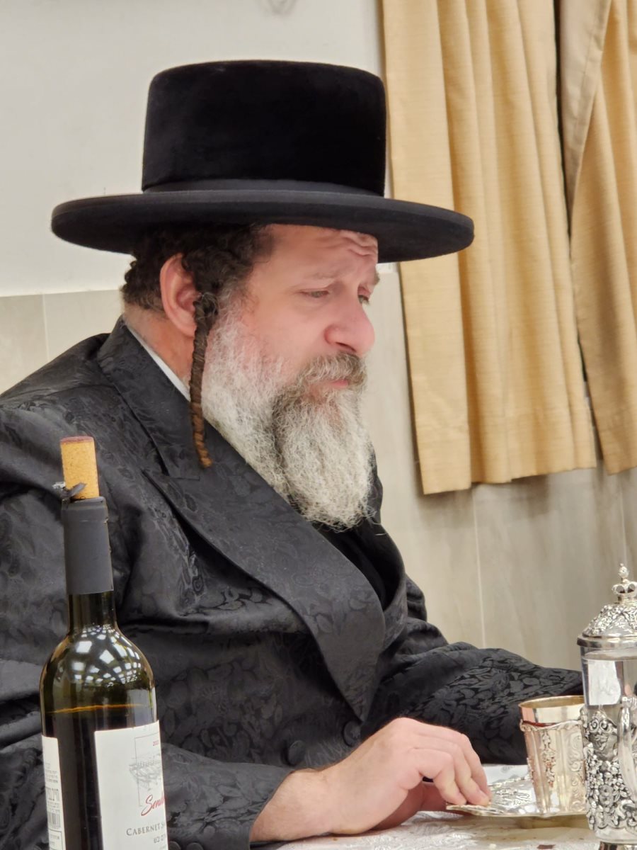 האדמור משאץ בהילולא. מוסדות שאץ