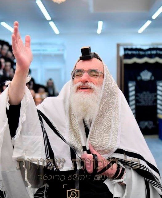 צילום: י פרוכטר