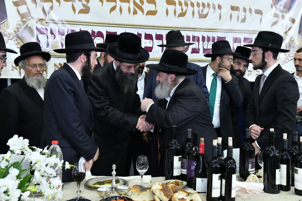 צילום: באדיבות המצלם