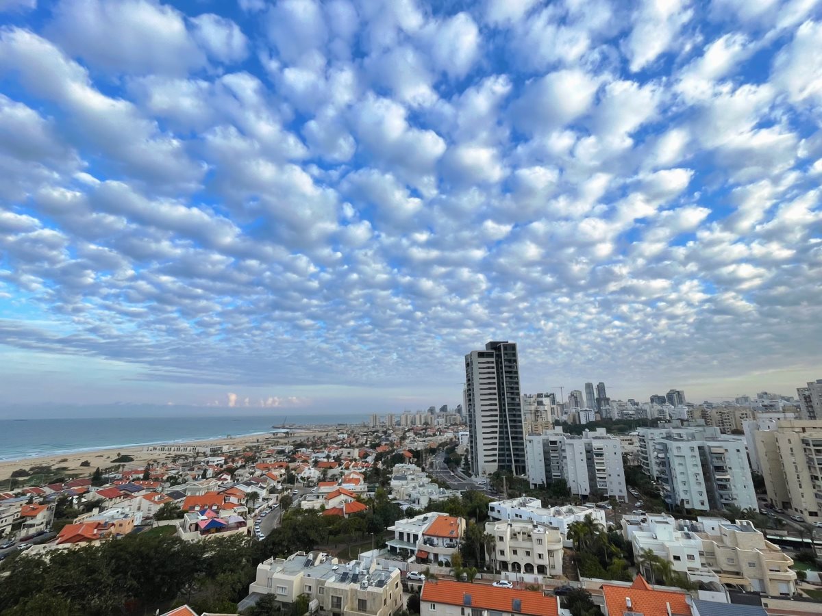 צילום: עירית אשדוד