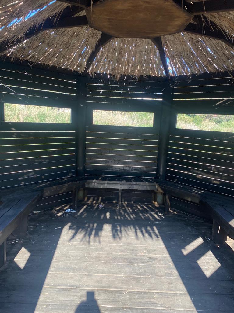 צילום: תיירות אשדוד