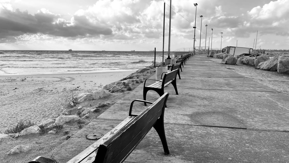 צילום: שמואל דוד