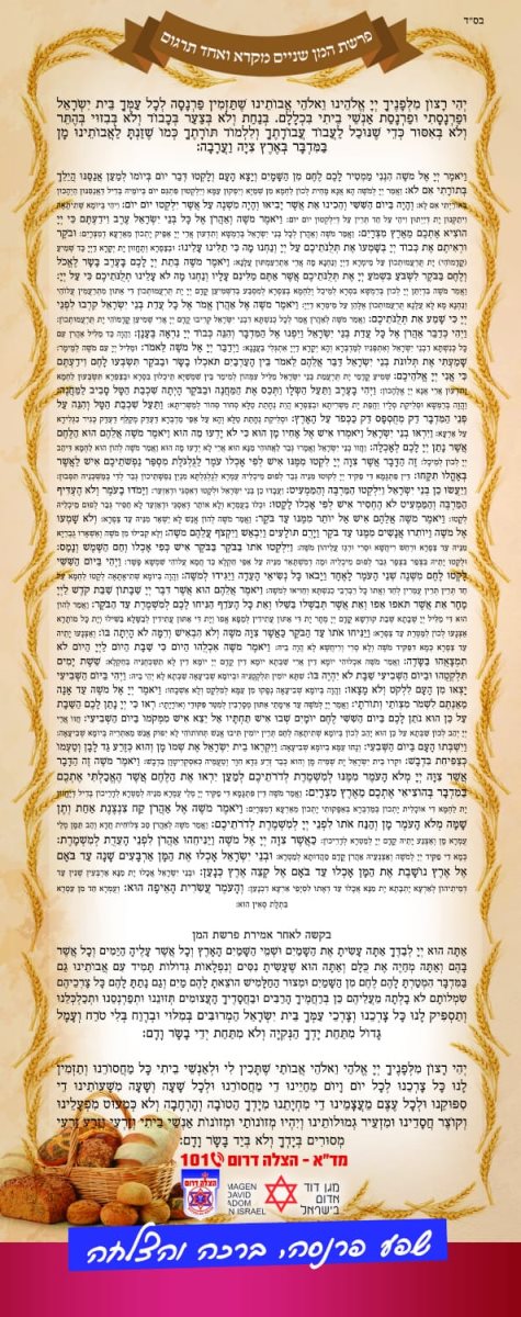 צילום: מדא הצלה דרום