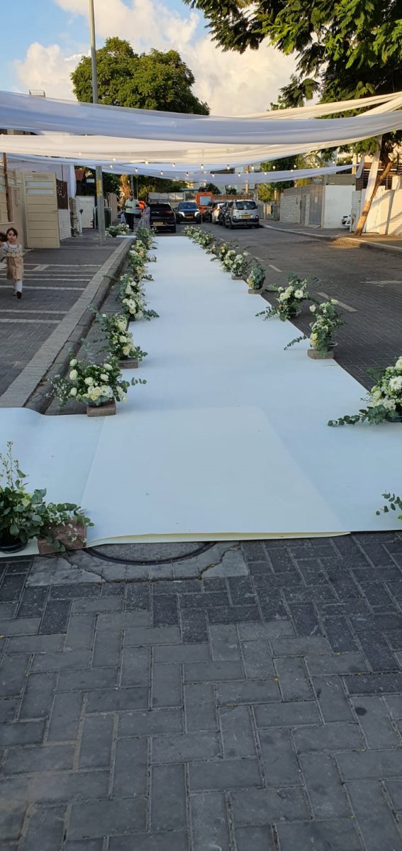 צילום: באדיבות המצלם