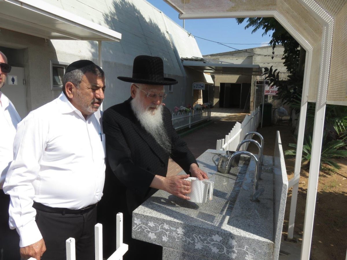 צילום: א. מיכאלי