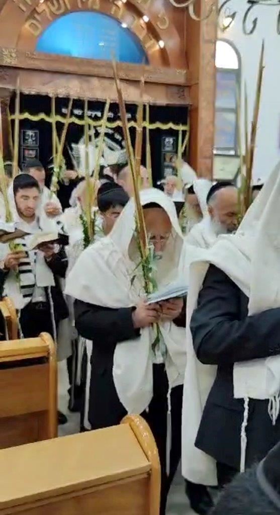 ארבעת המינים בחודש חשון. א' מיכאלי