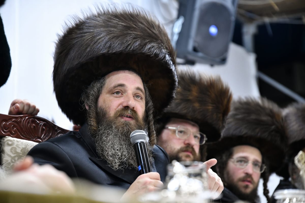 צילום; שוקי בריכטא