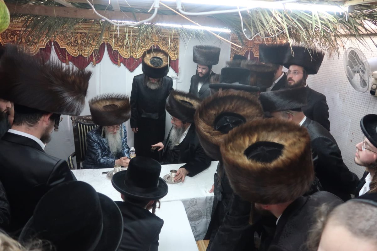 צילום: באדיבות המצלם