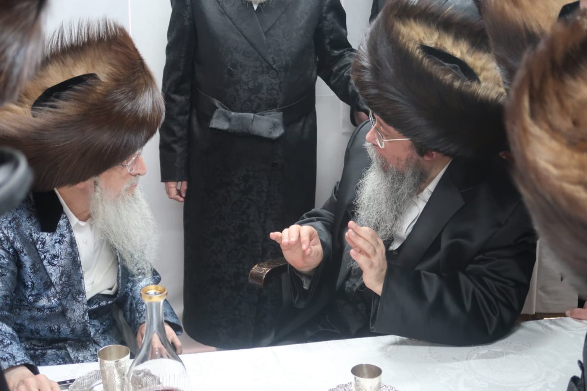 צילום: באדיבות המצלם